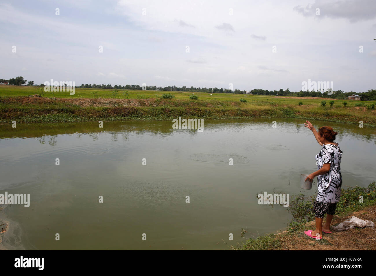 Fischteich, finanziert durch ein Darlehen 2 Millionen Riel AMK Mikrofinanz.  Kambodscha. Stockfoto