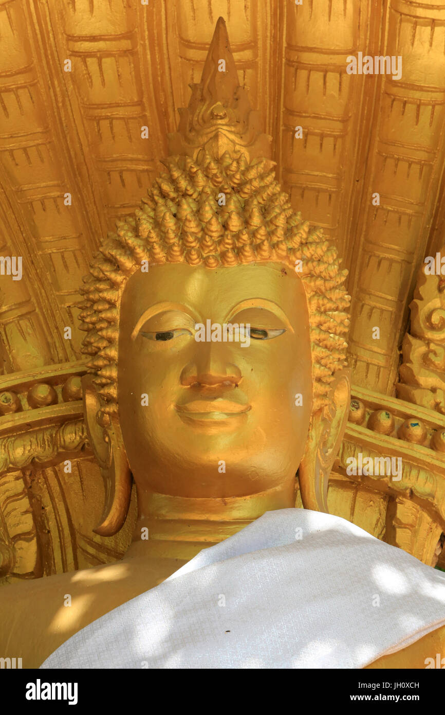 Na Plok Buddha unter dem Bodhi-Baum. Wat Simuong. Wat Si Muang. Vientiane. Laos. Stockfoto