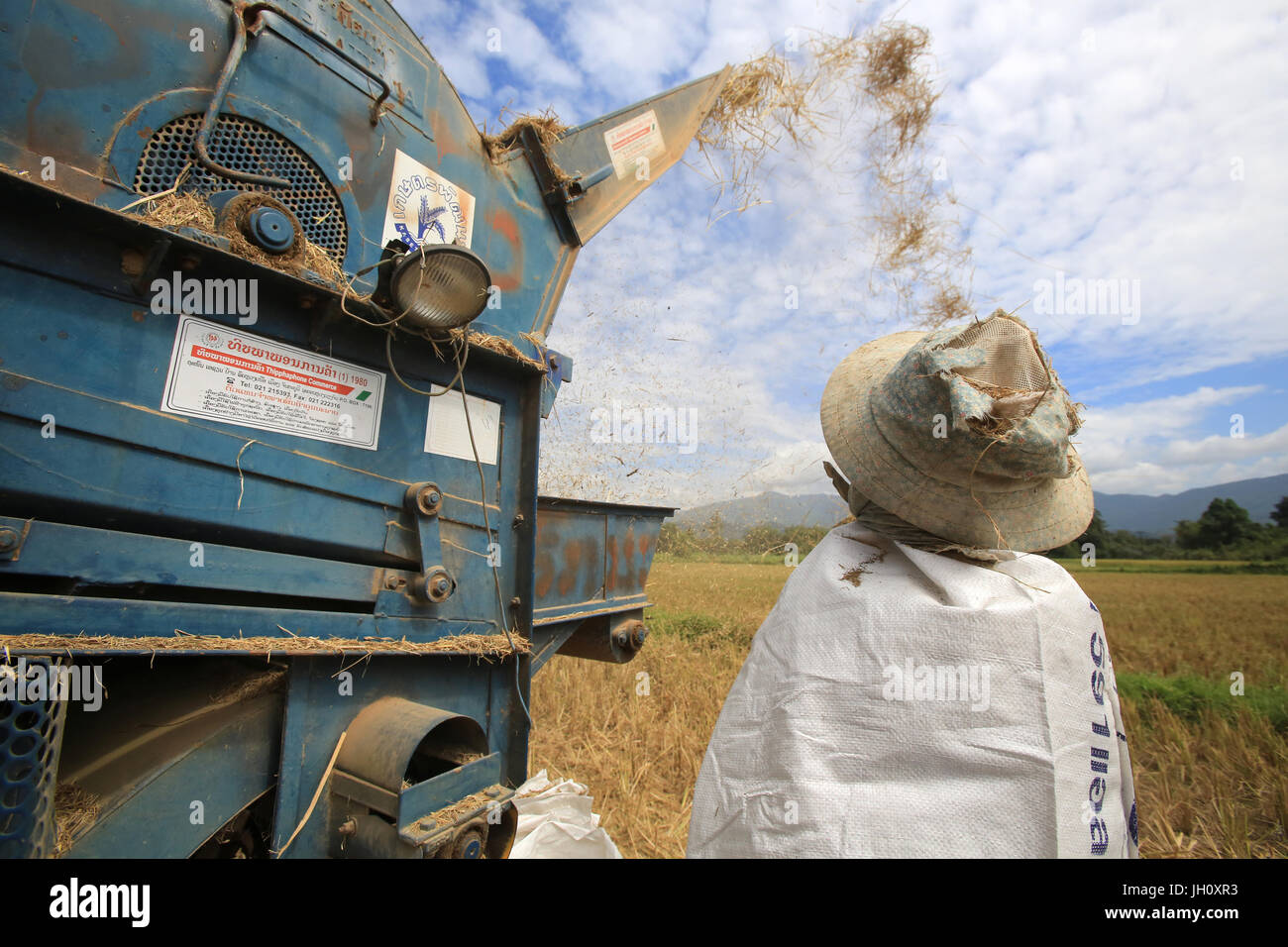 Landwirtschaft. Reisfeld. Lao Bauern ernten Reis in ländlichen Landschaft. Laos. Stockfoto