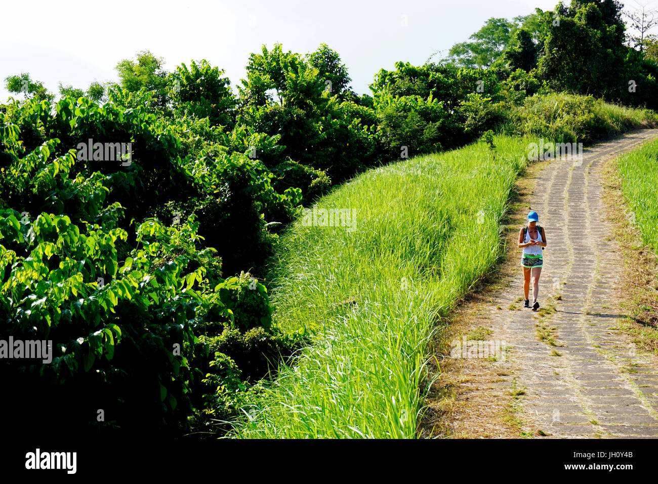 "Meine neue Erfahrung, wenn ich Ubud gestern besucht..." Stockfoto
