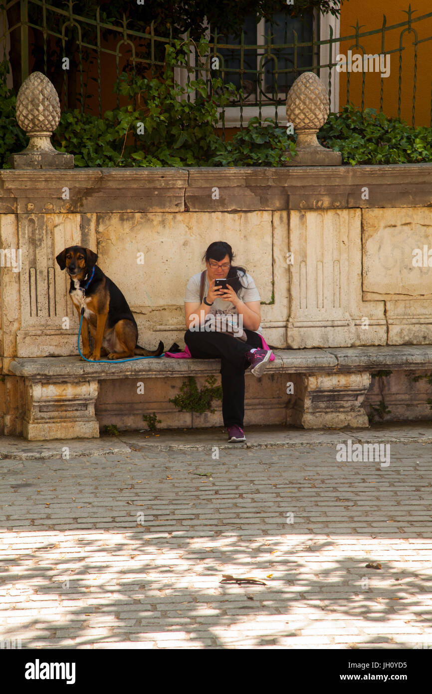 Frau saß auf einer Steinbank mit einem Mobiltelefon mit ihrem Hund saß auf der Bank neben ihr Stockfoto