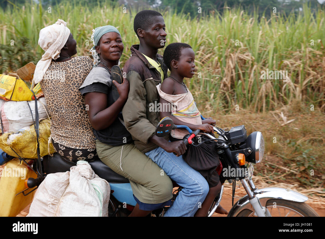 Ugandischen Familie auf einem Motorrad. Uganda. Stockfoto