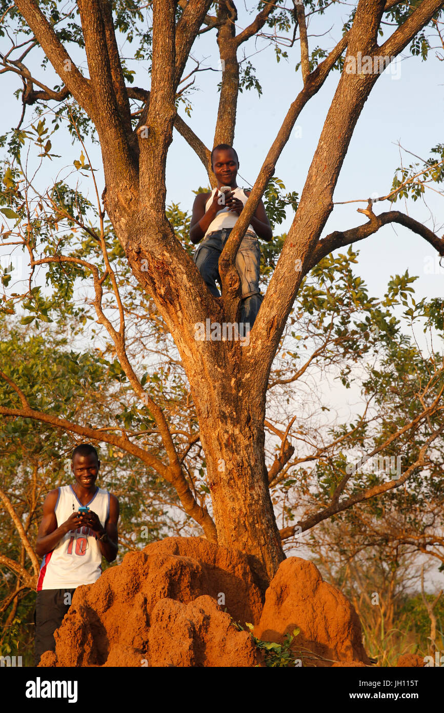 Ugandische auf der Suche nach Handy-Signal in einer abgelegenen ländlichen Gegend. Uganda. Stockfoto