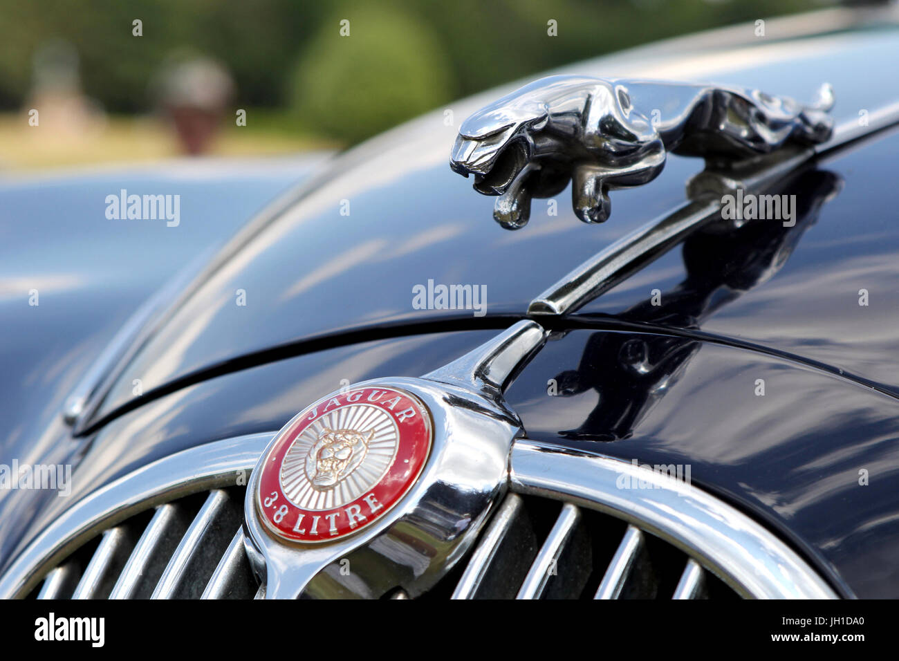 Abzeichen und "Springende Katze" Motorhaube Maskottchen ein Jaguar MK 2 3,8 Liter Stockfoto