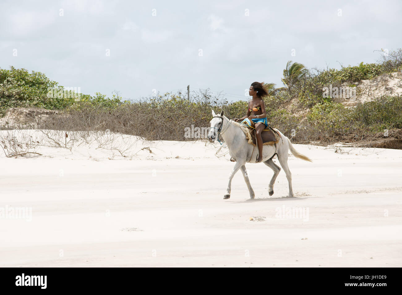 Menschen, Frau, Pferd, Lençois, Atins, Maranhão, Brasilien Stockfoto