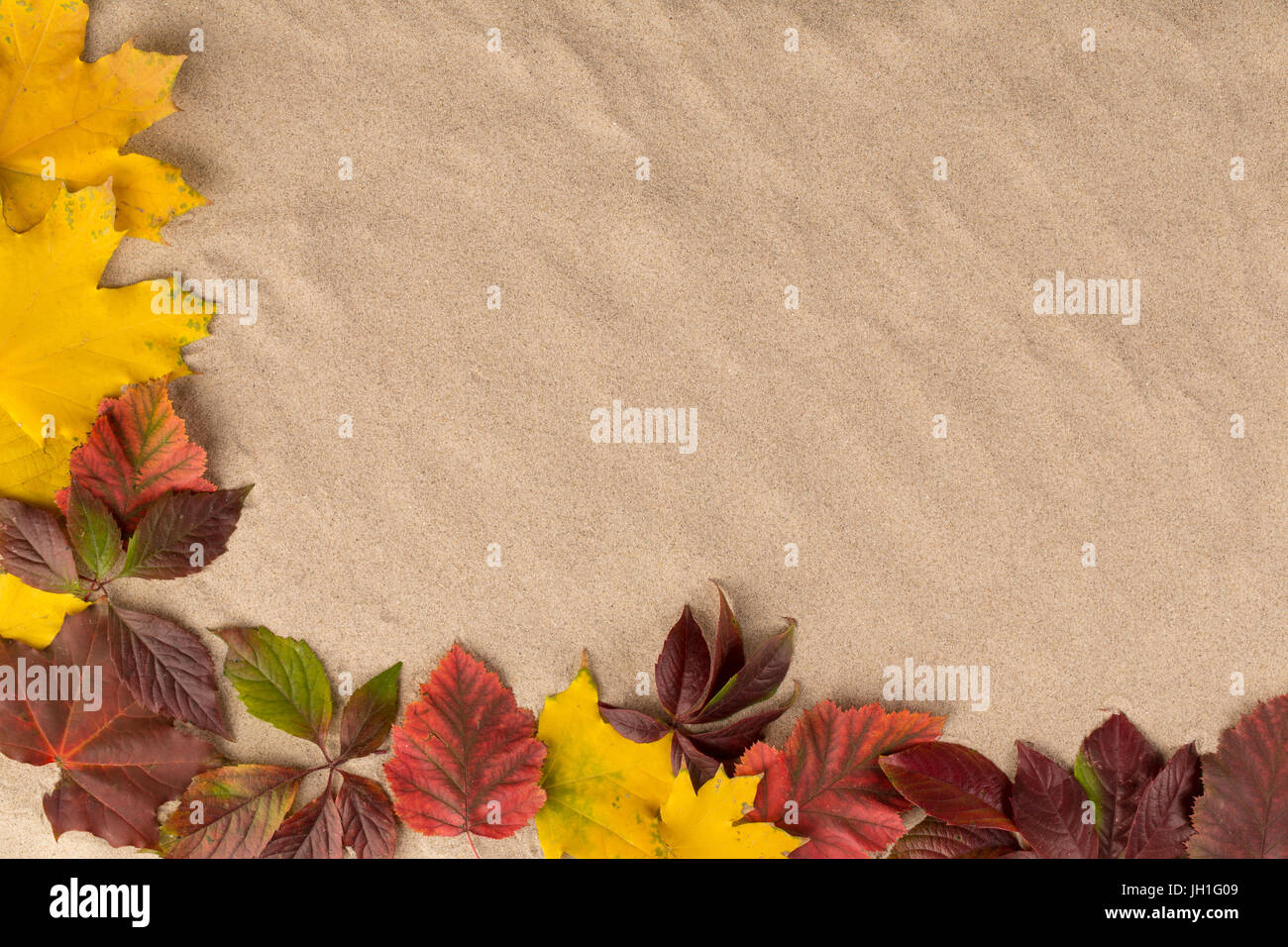 Sand Hintergrund mit Herbstlaub. Die Blätter sind auf der linken Seite und nach unten. Stockfoto