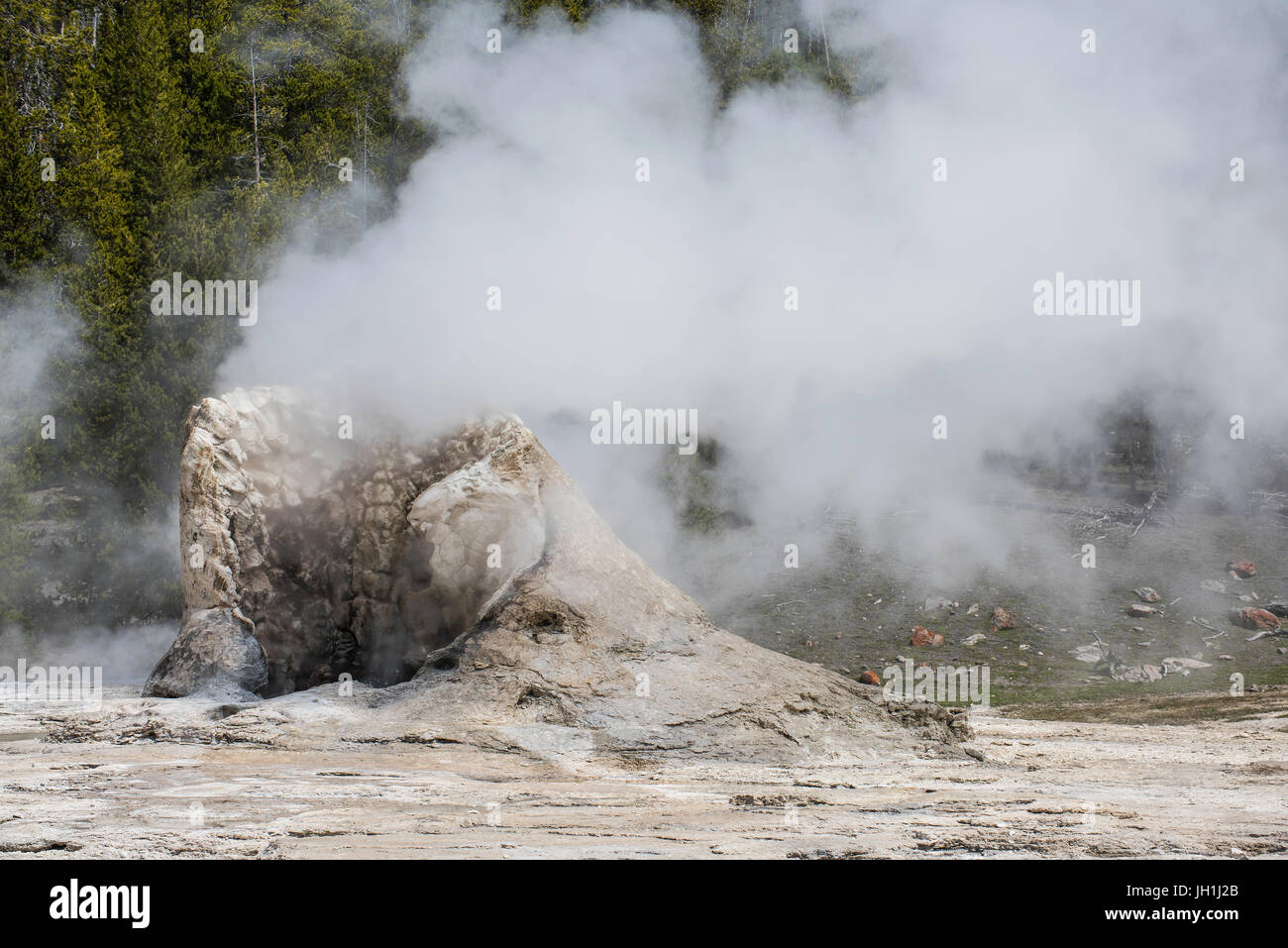 Fumarole oder Dampf Vent ausbricht, Yellowstone-Nationalpark, Wyoming USA von Bruce Montagne Stockfoto