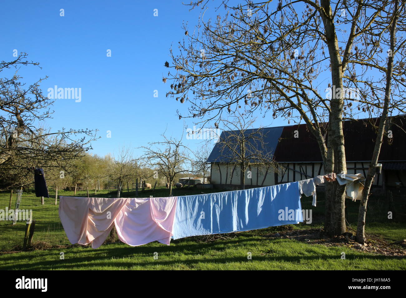 Wäsche trocknen in einem Garten. Frankreich. Stockfoto