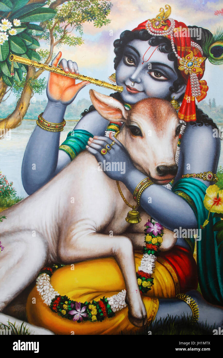 Malerei, Darstellung der Hindu Gott Krishna ein Flötenspiel und eine Kalb streicheln. Indien. Stockfoto