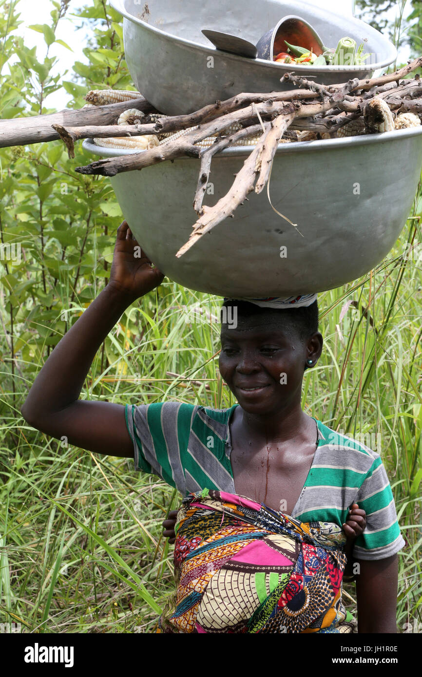 Frau, die die Platte mit Holz auf Kopf. Togo. Stockfoto