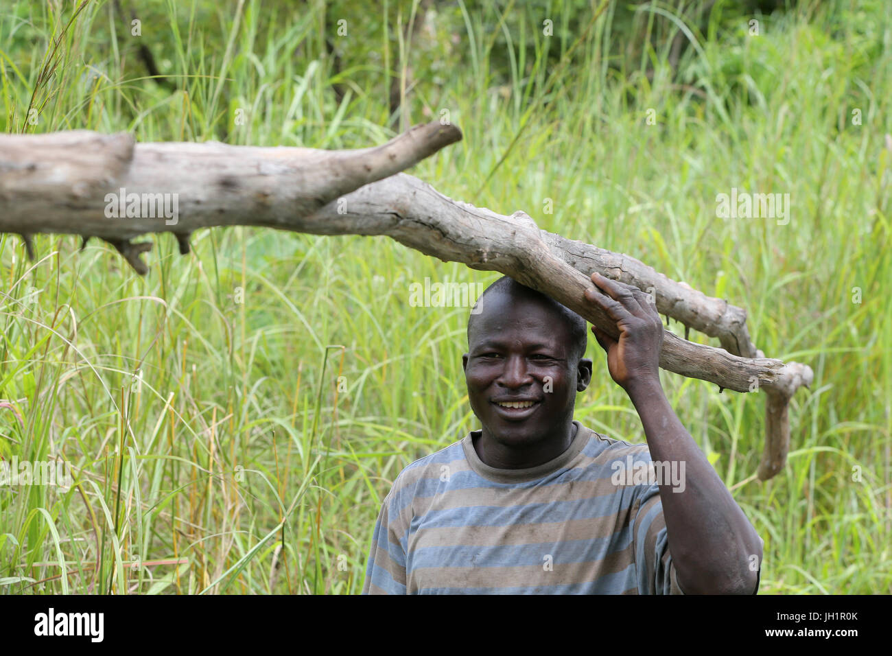 Bauer Holz am Kopf tragen. Togo. Stockfoto