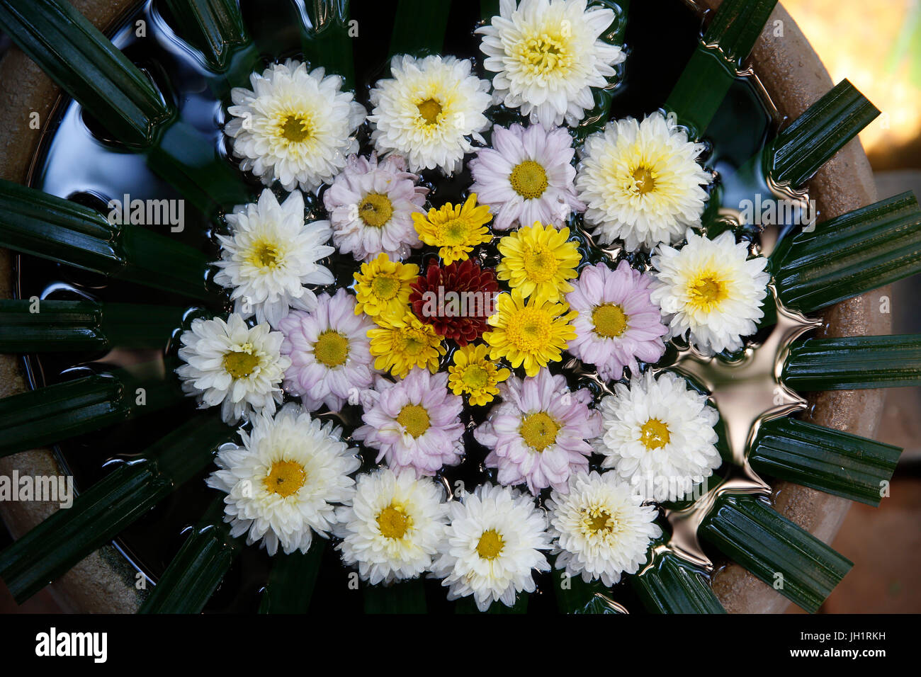 Blumen-Arrangement. Thailand. Stockfoto