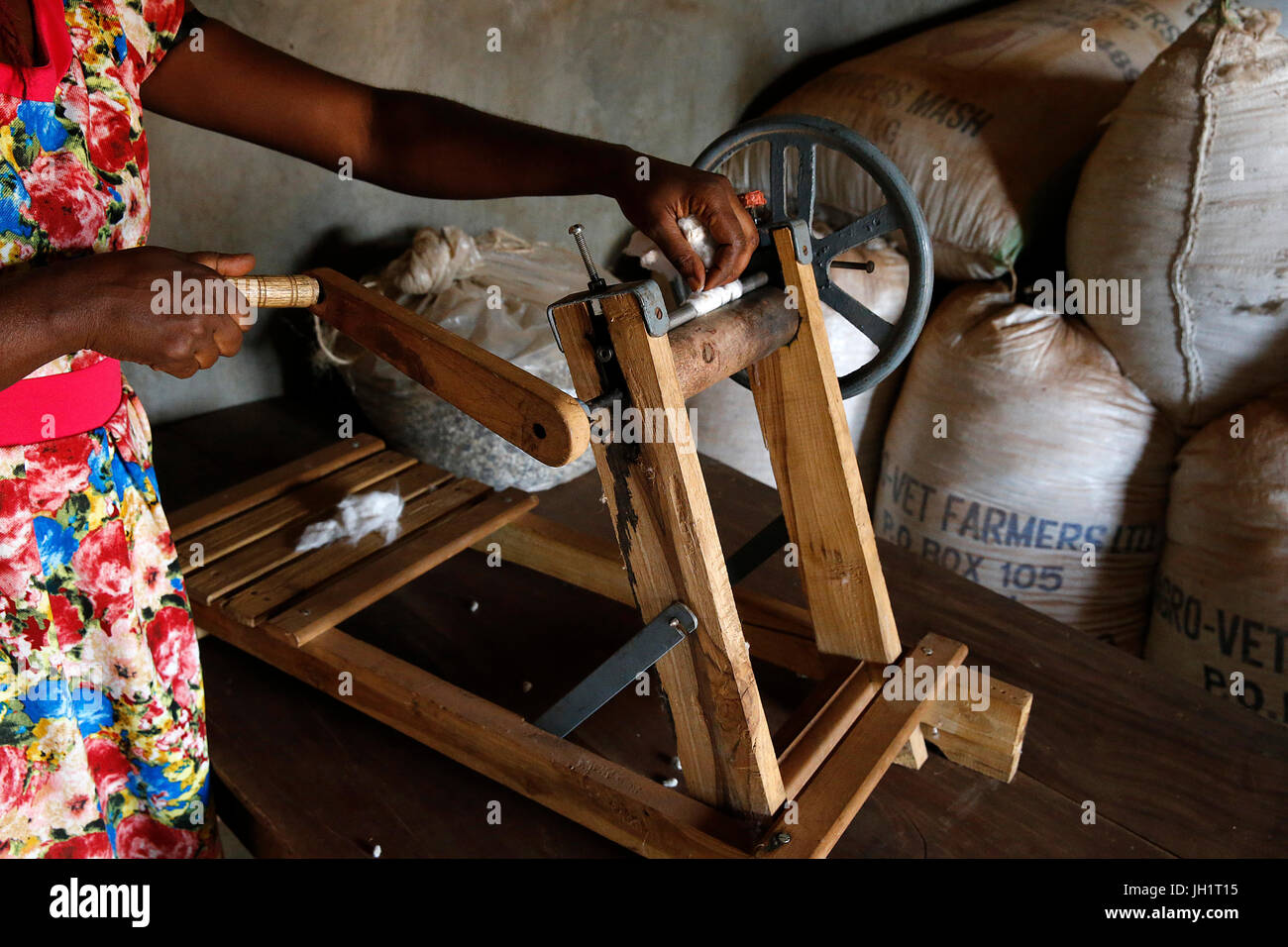 ENCOT Microfinance Client Proscovia Tusabe produziert Bio-Baumwolle. Uganda. Stockfoto