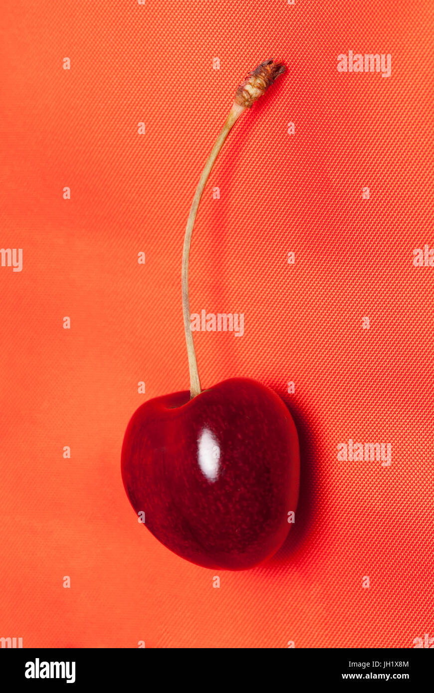 Süße rote Kirsche auf rotem Hintergrund. Studio-Shooting. Stockfoto