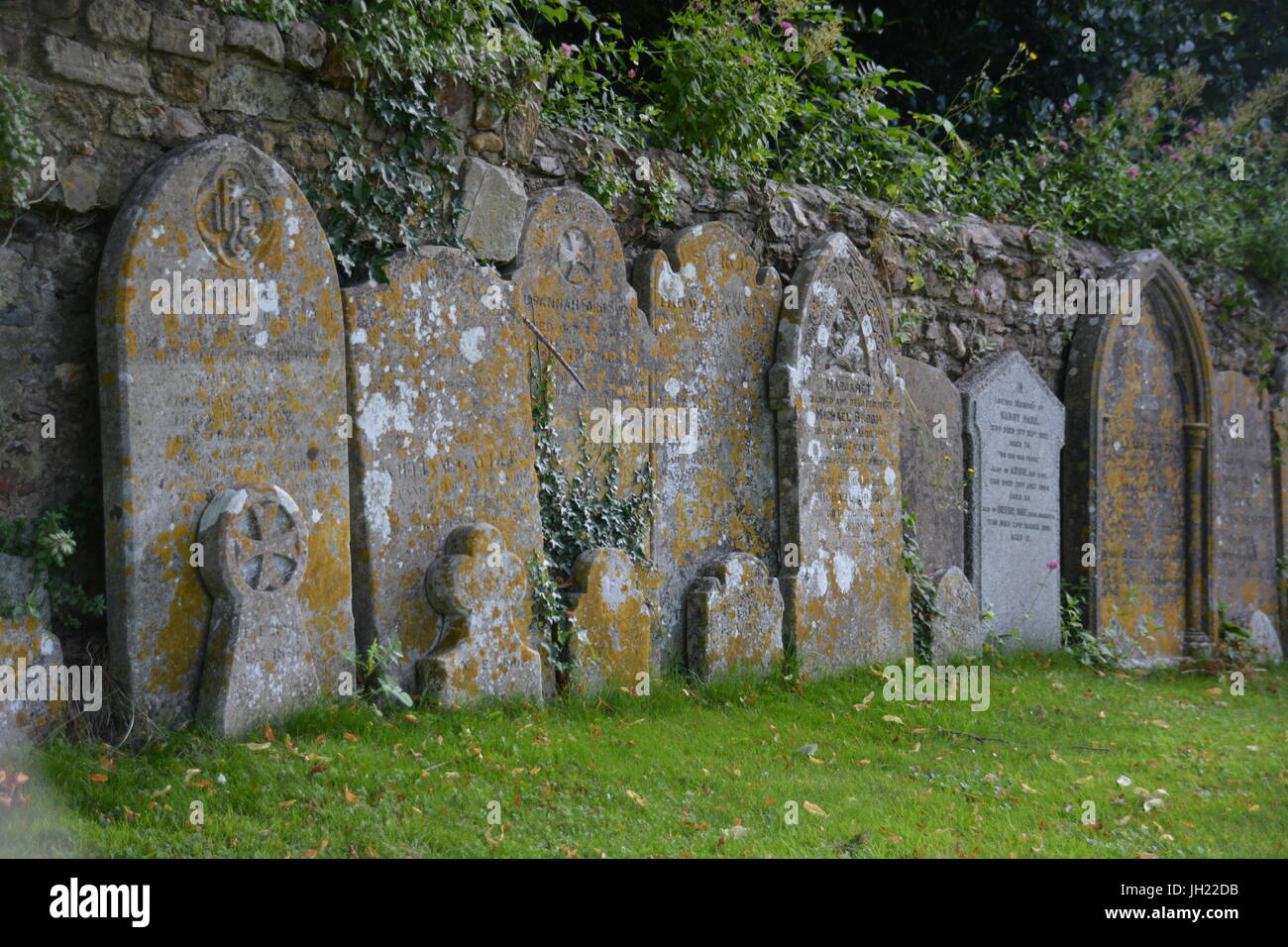 Der St. Maria Kirche, Mitte 14. Jahrhundert Kirche, im Devon Stadt Ottery St Mary, Quartal größe Kathedrale von Exeter im Querformat aufgenommen Stockfoto