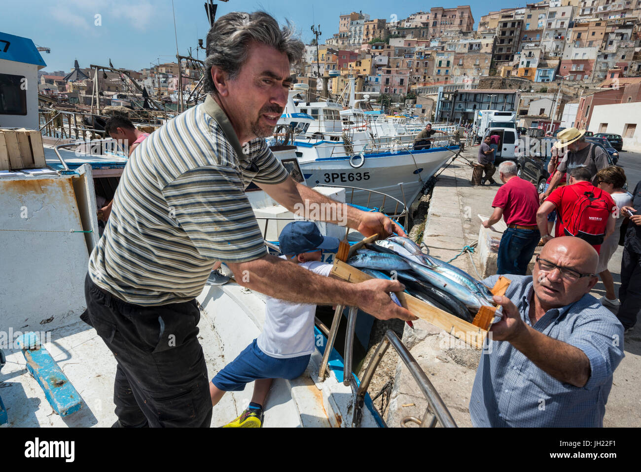 Fische, die von einem Fischerboot im Hafen Sciacca in Sizilien Southerm entladen wird. Stockfoto