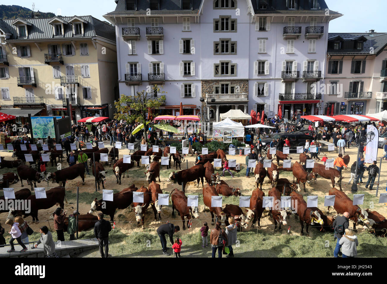 Die Landwirtschaft Messe (Comice Agricole) von Saint-Gervais-Les-Bains. Frankreich. Stockfoto