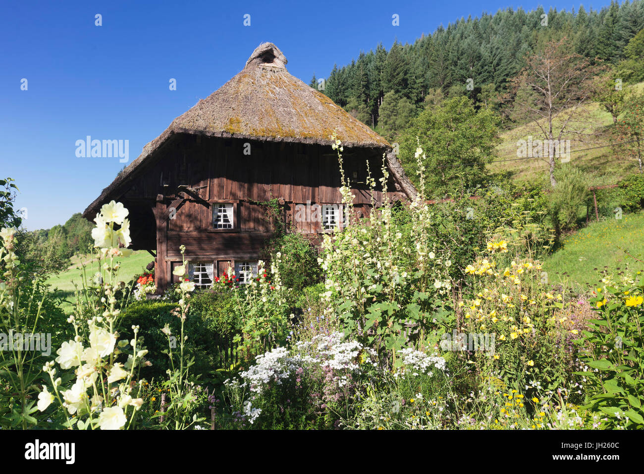 Landwasserhof Mill, Bauerngarten, Elzach, Schwarzwald, Baden-Wurttemberg, Deutschland, Europa Stockfoto