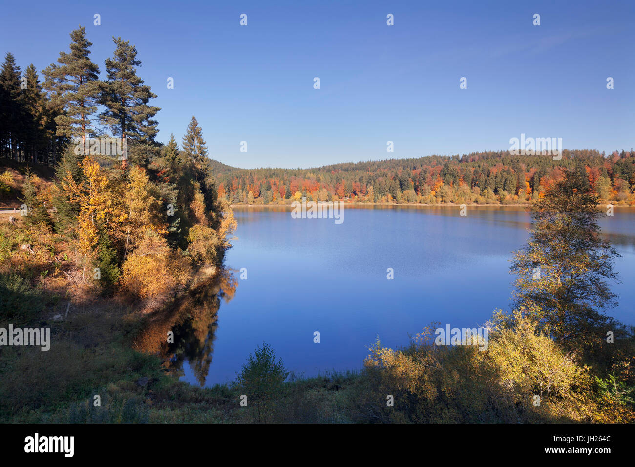 Schwarzenbach-Stausee, Schwarzenbachtalsperre, in der Nähe von Forbach, Schwarzwald, Baden-Württemberg, Deutschland, Europa Stockfoto