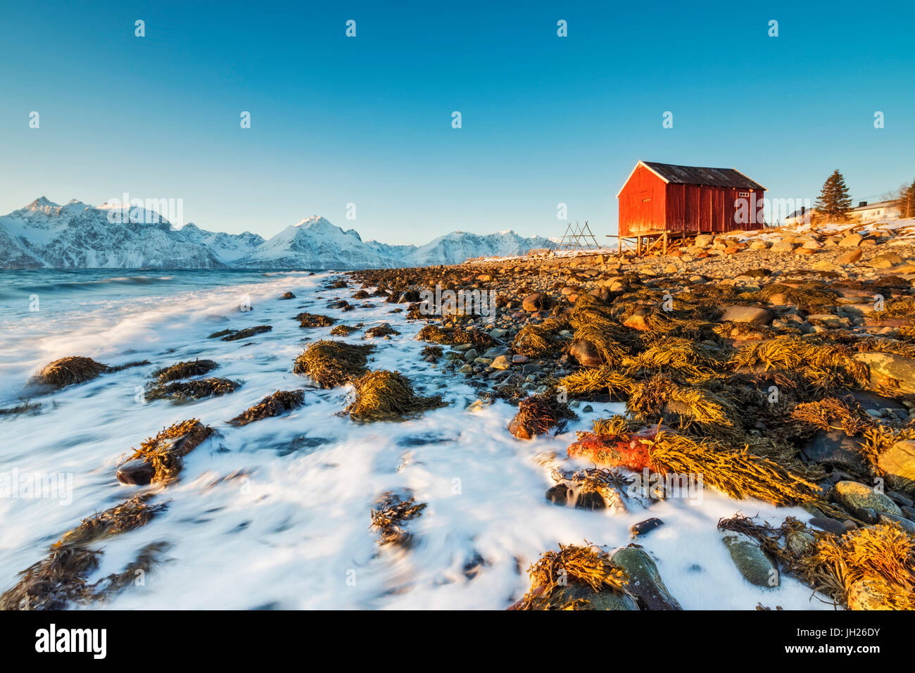 Typische Holzhütte genannt Fischerorten umgeben von Wellen der kalten See und schneebedeckten Gipfeln, Djupvik, Lyngen Alpen, Troms, Norwegen Stockfoto