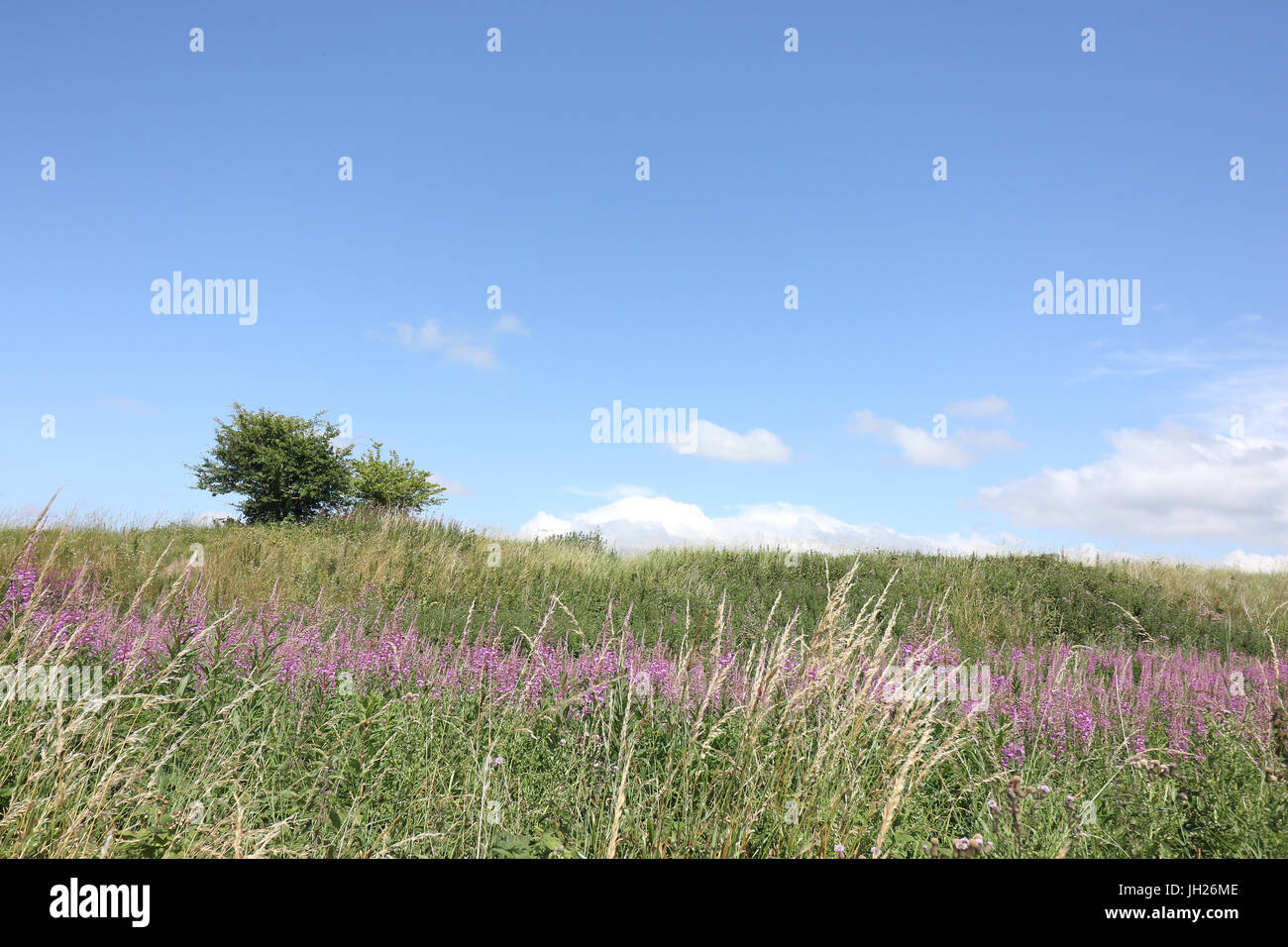 Landscaoes am Burton, Wirral, eng Stockfoto