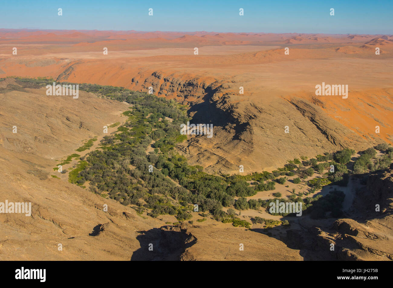Antenne des grünen Canyon am Rande der Namib-Wüste, Namibia, Afrika Stockfoto