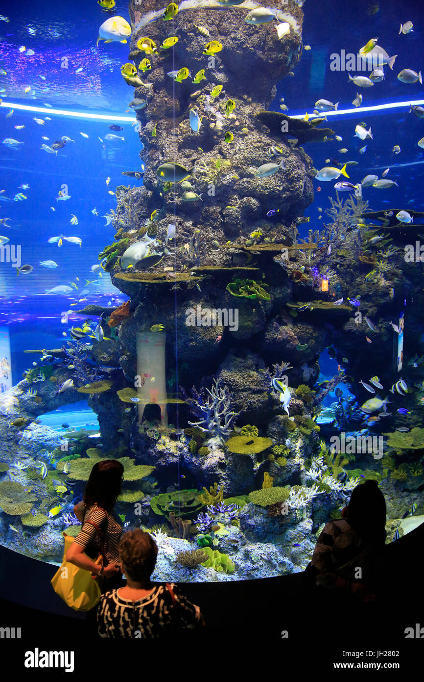 Touristen im Aquarium S.E.A. Insel Sentosa.  Singapur. Singapur. Stockfoto