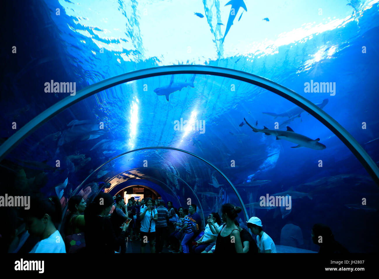 Touristen im Aquarium S.E.A. Haie. Insel Sentosa.  Singapur. Singapur. Stockfoto