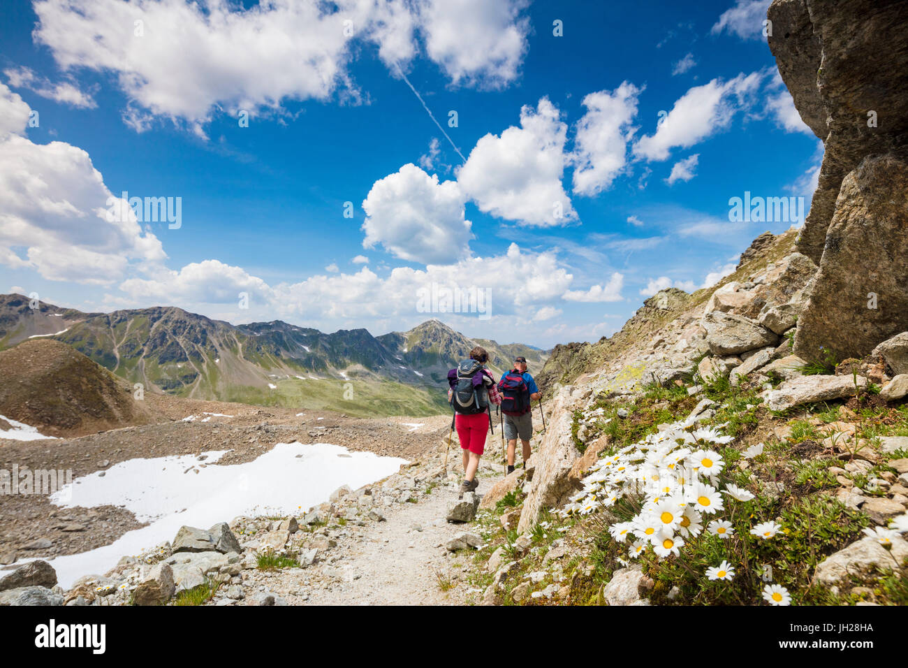 Wanderer, umgeben von felsigen Gipfeln und blühenden Gänseblümchen, Joriseen, Jorifless Pass, Kanton Graubünden, Engadin, Schweiz Stockfoto
