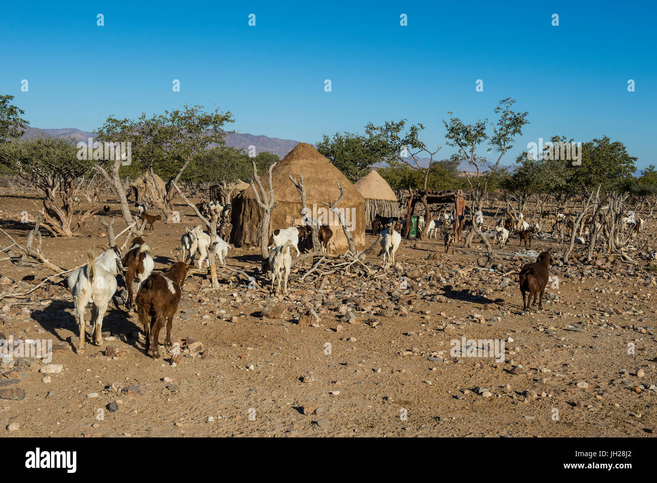 Himba Gral (Verbindung), in der Nähe von Sesriem, Kakovelt, Namibia, Afrika Stockfoto