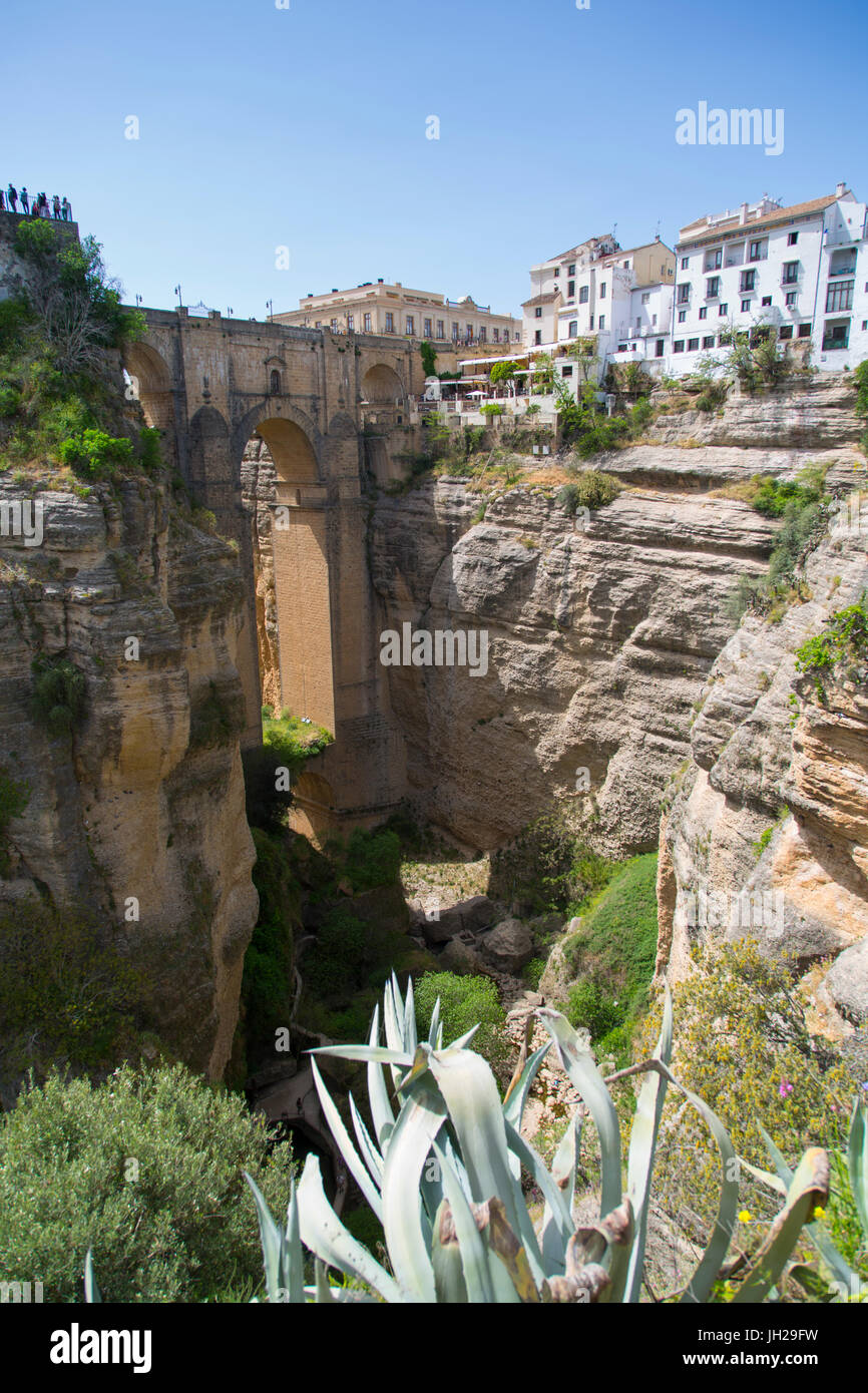 Ansicht von Ronda und Puente Nuevo aus Jardines De Cuenca, Ronda, Andalusien, Spanien, Europa Stockfoto