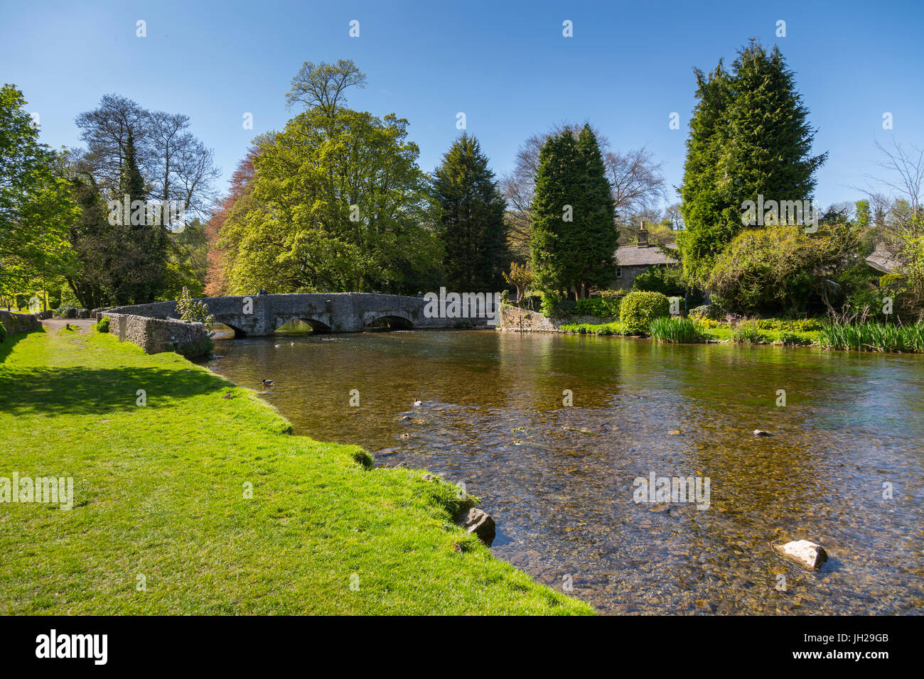 Der Fluss Wye und Sheepwash Brücke in Ashford im Wasser im Frühling, Derbyshire Dales, Derbyshire, England, Vereinigtes Königreich Stockfoto