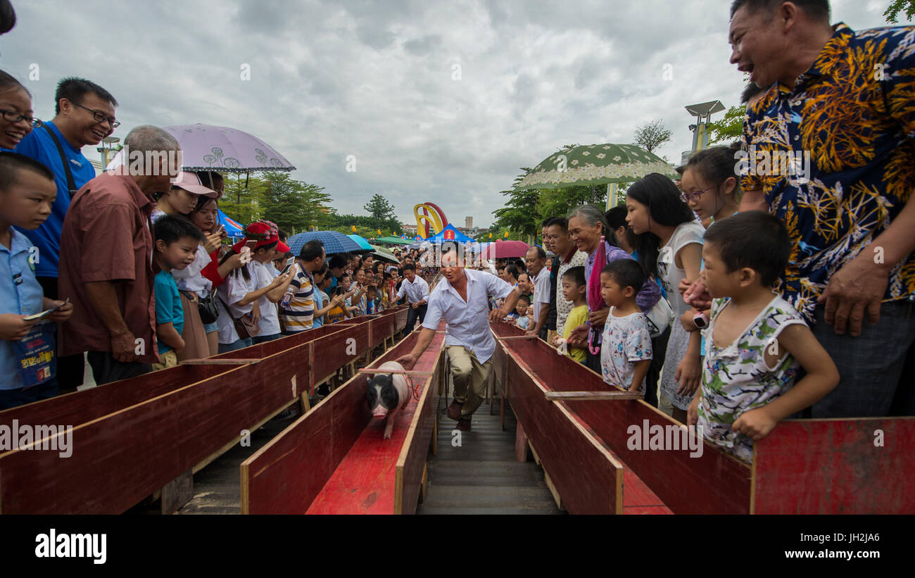 Baise, Chinas autonomen Region Guangxi Zhuang. 12. Juli 2017. Die Menschen sehen eine Schwein-Rennen in Tiandong County, Südwest-China Autonome Region Guangxi Zhuang, 12. Juli 2017. Am Mittwoch fand ein Volksfest mit Mango-Kultur in Tiandong County. Verschiedene Aktivitäten wie Top Spining, Schweinerennen, Kleidungsstück Show und Mango Wettbewerbe zog viele Menschen. Bildnachweis: Xie Peixia/Xinhua/Alamy Live-Nachrichten Stockfoto