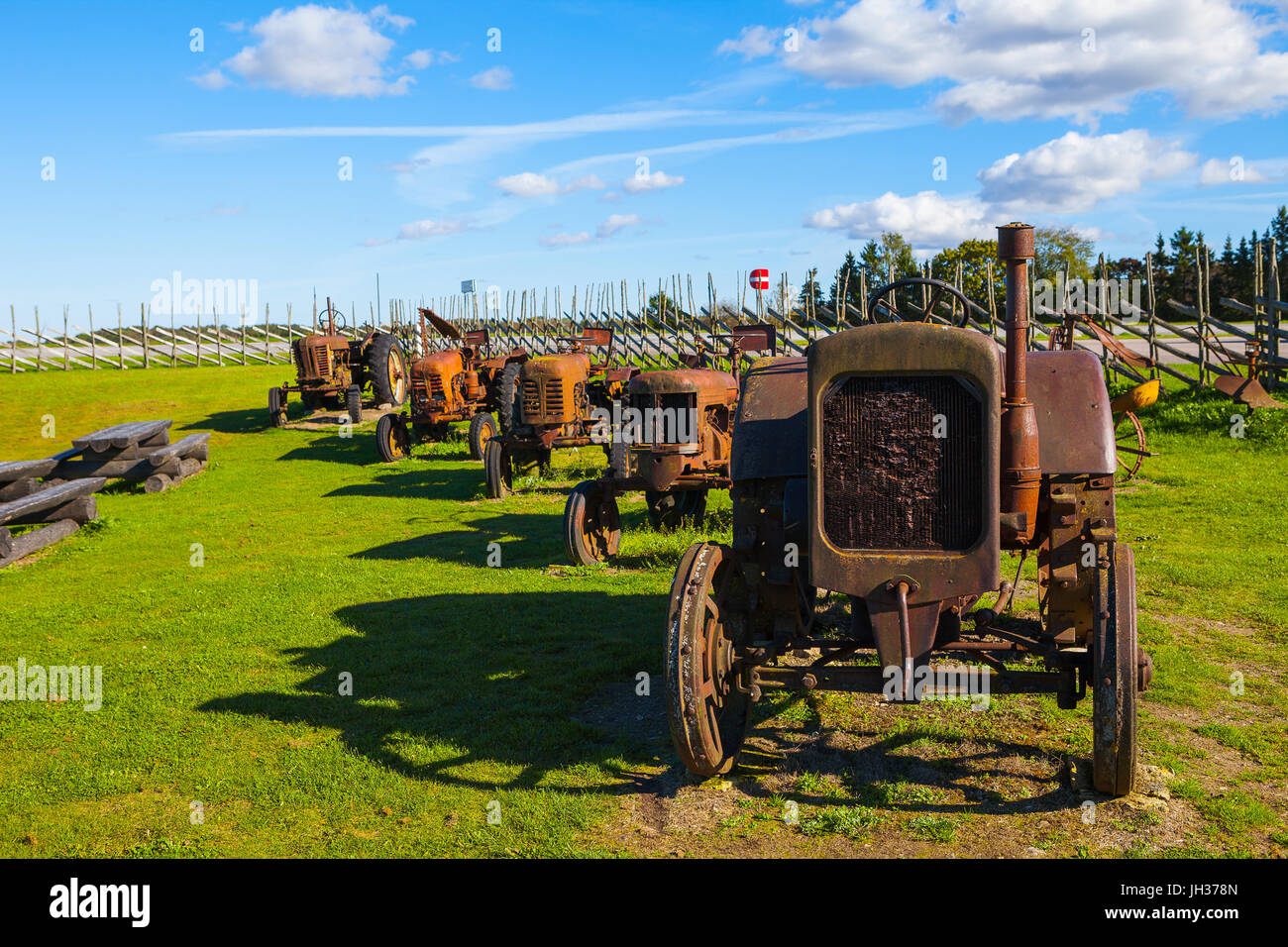 Rostige Oldtimer Traktoren im Feld. Museum-Installation. Stockfoto