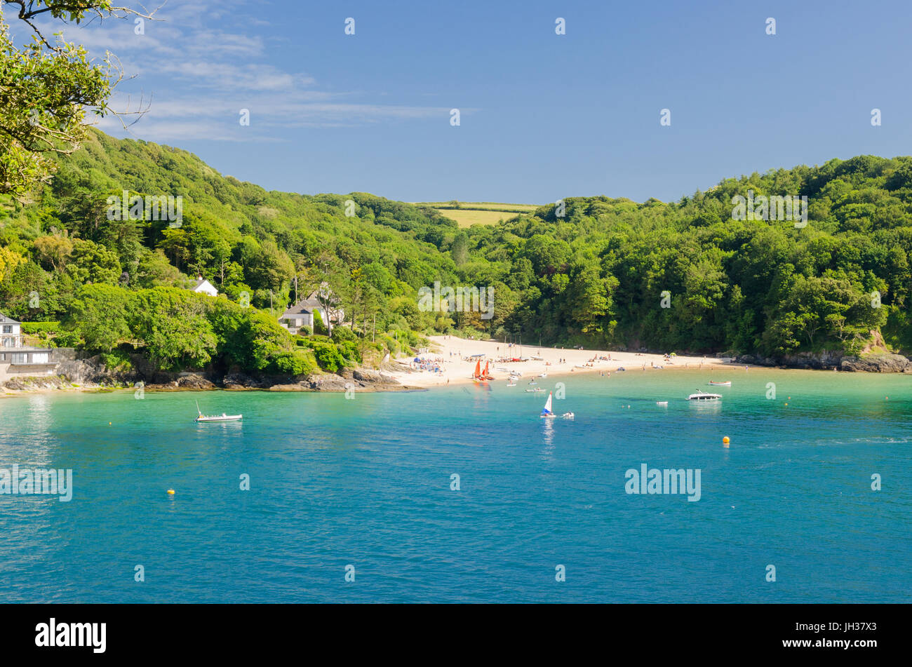 Blick vom Salcombe in Salcombe Mündung in Richtung Ost Portlemouth und seine Strände Stockfoto