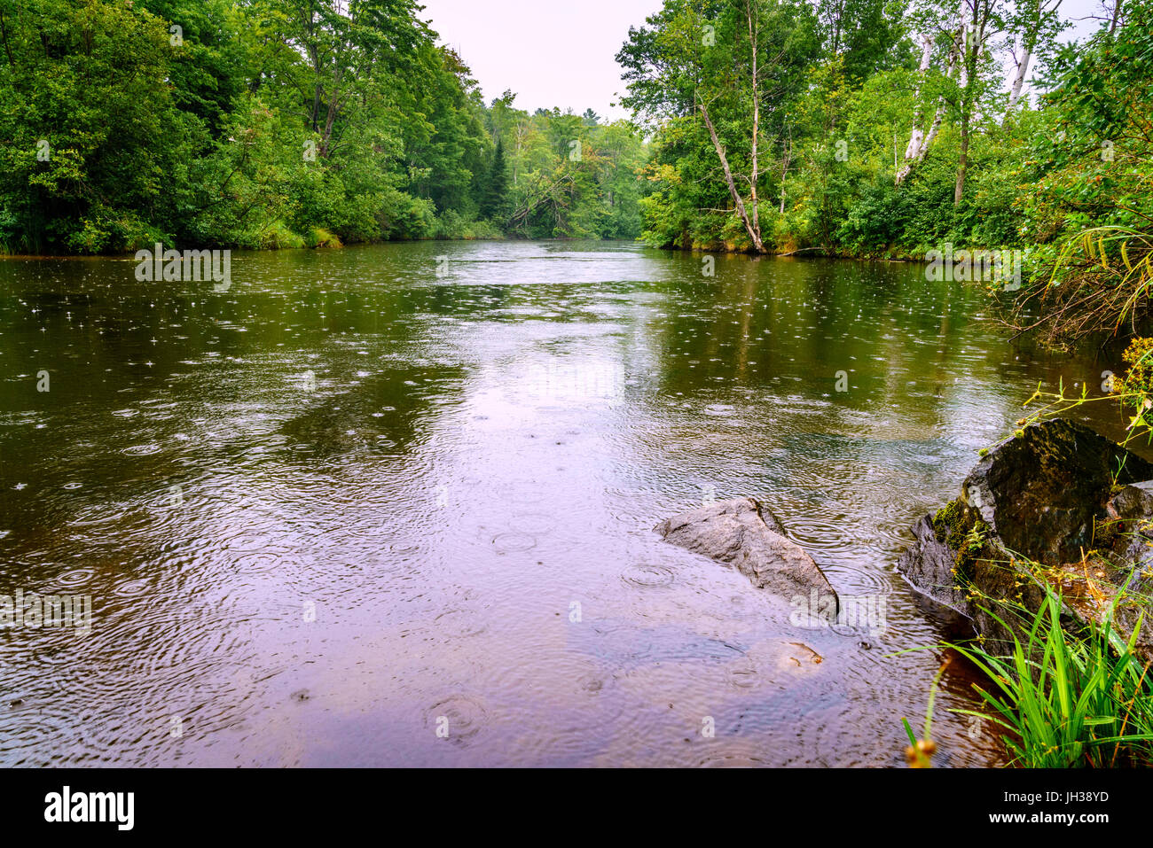 Malerische Aussicht eines Flusses auf obere Halbinsel, Michigan bei Regen Stockfoto