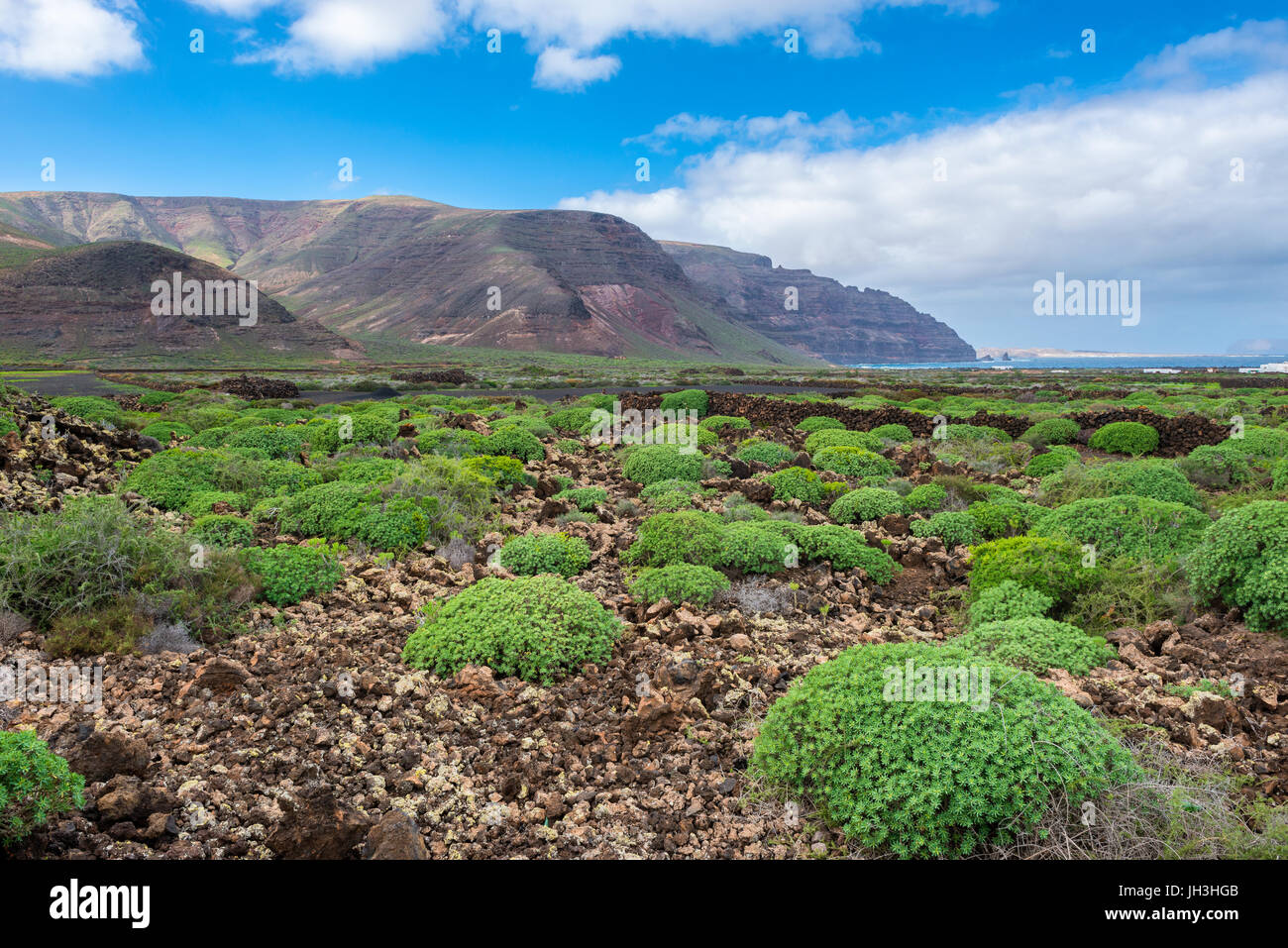 Vulkanlandschaft auf Lanzarote, Kanarische Inseln, Spanien Stockfoto