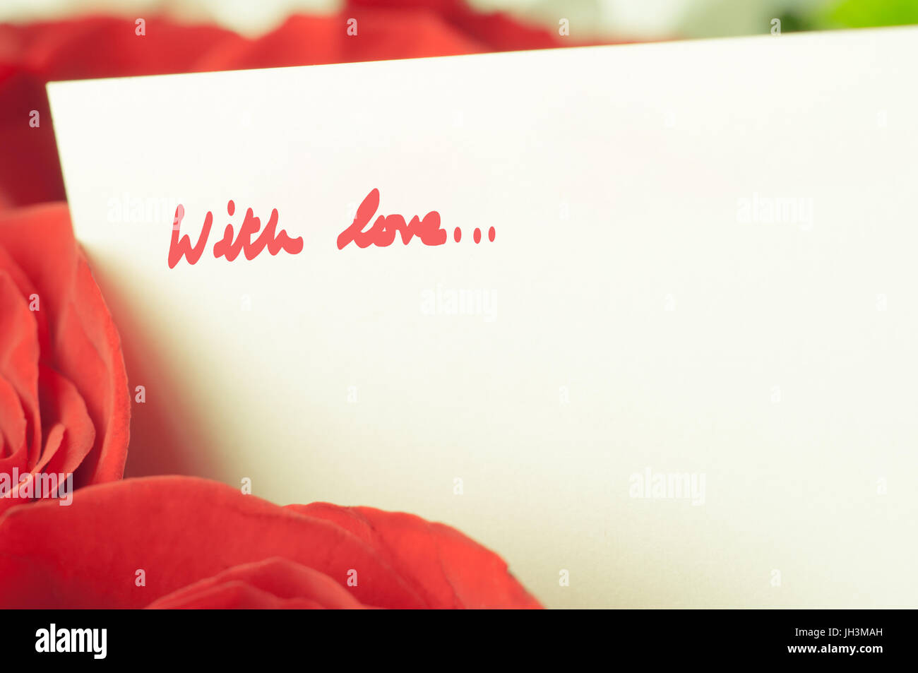 Soft-Fokus Rosen in verblichenen Korallen Rottöne mit weißen Textkarte und Worte "mit Liebe" angebracht.  Retro-Optik. Stockfoto