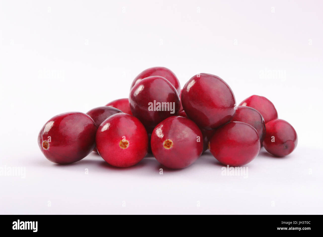 Wilde Preiselbeeren isoliert auf weiss mit glatten Schlagschatten. Studio gedreht retuschiert Stockfoto