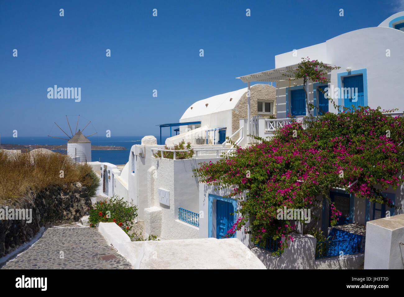 Schneeweisse Haeuser und windmuehle im Dorf Oia, Santorin, Kykladen, aegaeis, Griechenland, Mittelmeer, Europa | weiße Häuser und Windmühle am Vill Stockfoto