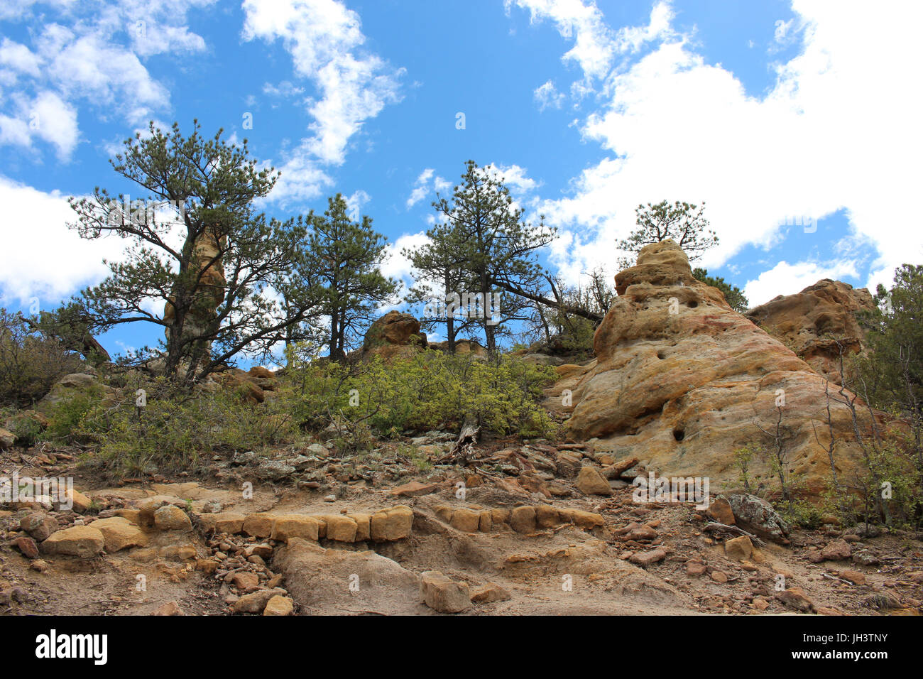 Vegetation und Felsformationen entlang eine Spur im Palmer Park in Colorado Springs, Colorado, USA Stockfoto
