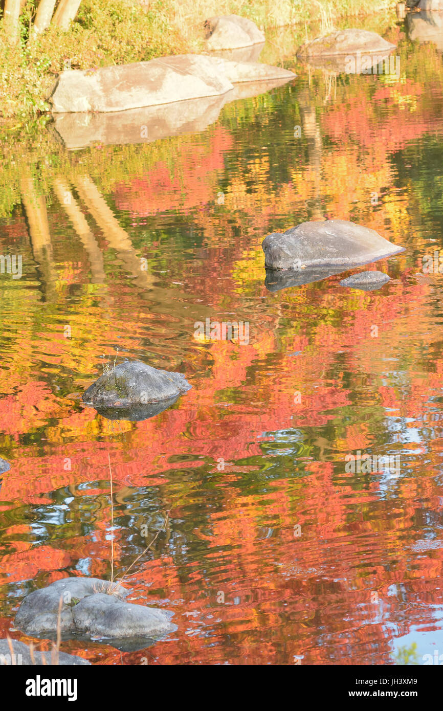 Abstrakte bunte Reflexion des pulsierenden japanischen Ahorn Herbst Blätter auf Teich Wasser in vertikalen Rahmen Stockfoto