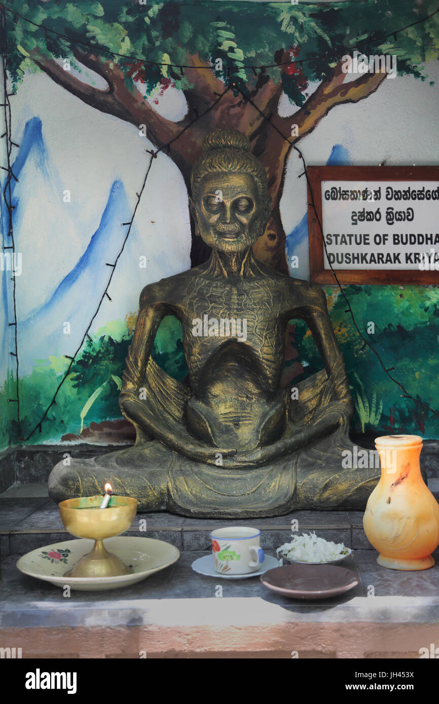 Galle Sri Lanka Rumassala Straße Sri Vivekaramaya Tempel Statue von ausgemergelten Gautama Buddha Leben als Asket - Dhyana Mudra Stockfoto