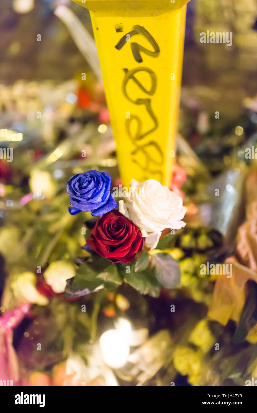 Blau-weiße und rote Rosen, iconic französischen Farben. Hommage an die Opfer der Terroranschläge in Paris, den 13. November 2015. Stockfoto