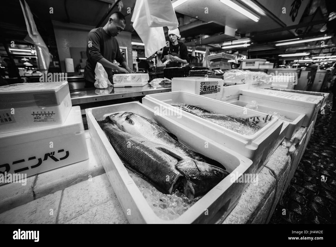 besuchen den berühmten Fischmarkt in Tokio Stockfoto