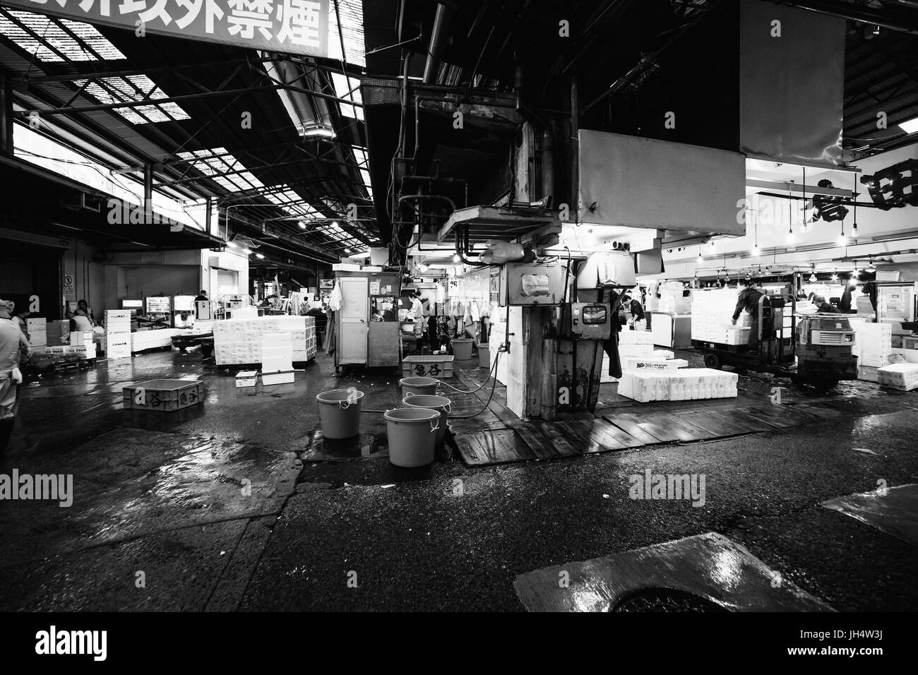 besuchen den berühmten Fischmarkt in Tokio Stockfoto