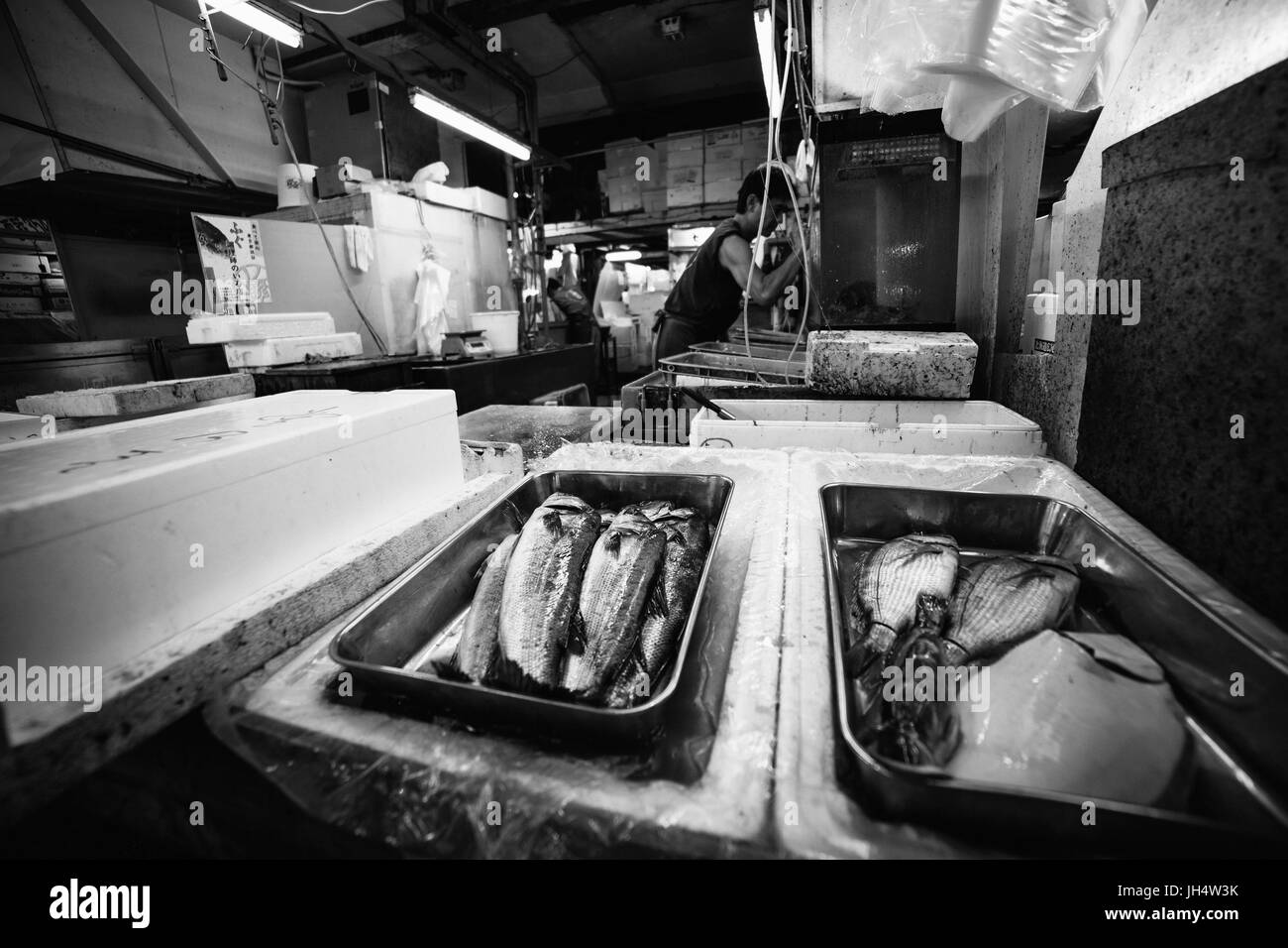 besuchen den berühmten Fischmarkt in Tokio Stockfoto