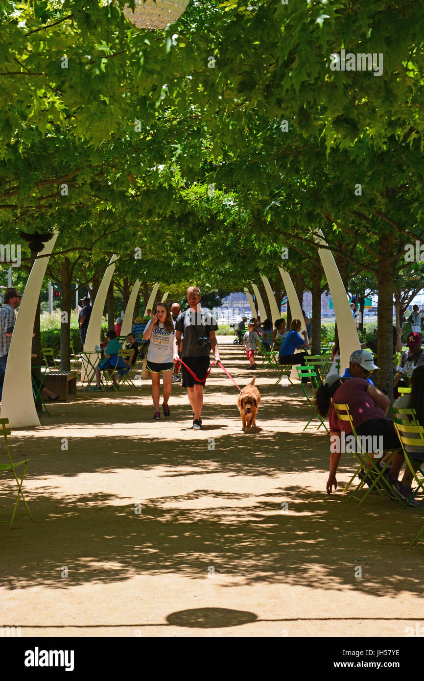 Bewohner zu entkommen die Mitte Tag Hitze im Schatten der Eichen im Klyde Warren Deck Park in der Innenstadt von Dallas Texas Stockfoto
