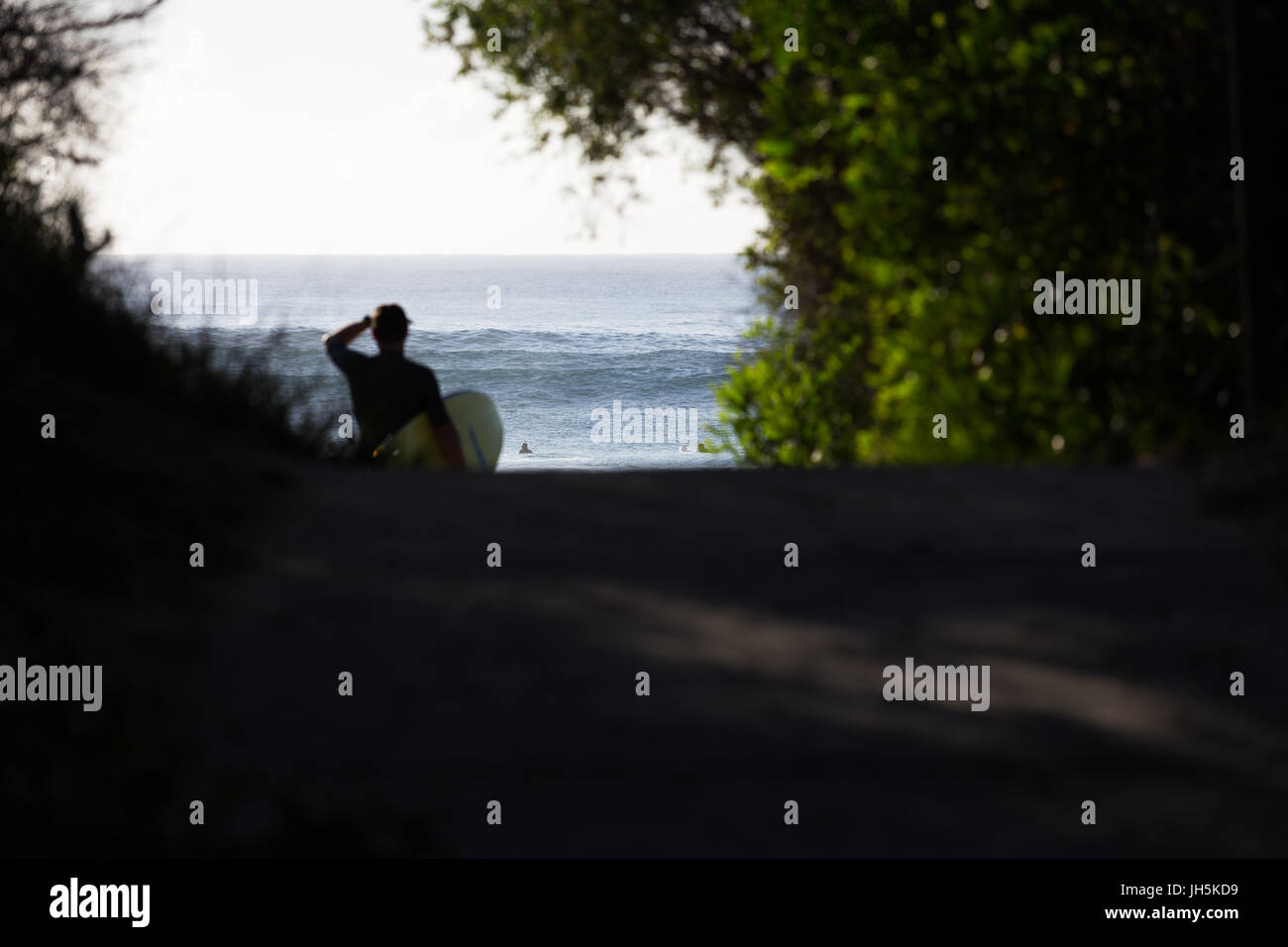 Eine Surfer mit Surfbrett unter Arm prüft die morgen Brandung an einem malerischen Strand in Australien. Stockfoto