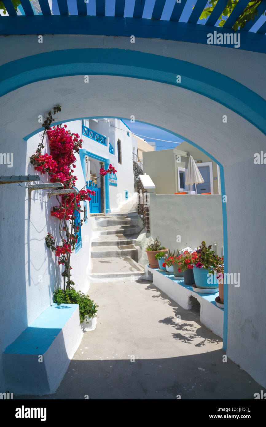 Durchgang am kraterrandweg blumengeschmueckter in Imerovigli, Santorin, Kykladen, aegaeis, Griechenland, Mittelmeer, Europa | Blume dekoriert passag Stockfoto